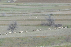 164333_10150091733819438_512549437_5949965_4883120_n