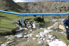 164525_10150091732254438_512549437_5949927_7996473_n