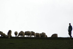 164731_10150091736479438_512549437_5950038_2943158_n