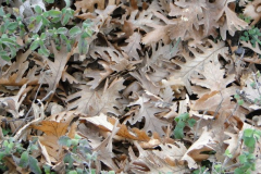 165182_10150091734584438_512549437_5949983_7903154_n