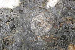 165745_10150091725444438_512549437_5949777_7802904_n