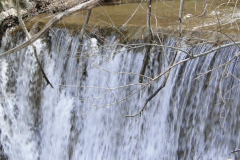 168601_10150091731504438_512549437_5949905_6390330_n