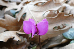 180098_10150091734749438_512549437_5949988_2358300_n